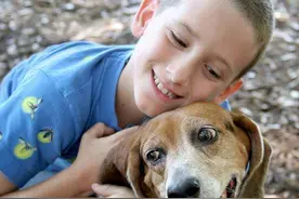 狗狗这6个动作什么意思？看不懂真的白养狗了图片