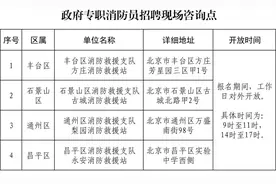 公开招聘300人！“蓝朋友”邀你入队！图片