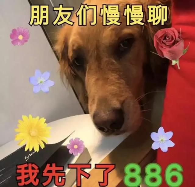 520比521更适合表白，居然是因为南方人的口音…