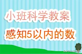 幼儿园小班优秀科学教案《感知5以内的数》含反思图片