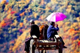 俗语：“男不过八，女不过七”，好男人需知，你知道吗？图片