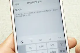 ios键盘太难用，其实还有更快捷的方式，用输入码就行啦