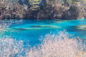 重庆到九寨沟旅行，怎么去更方便呢？内含九寨沟深度游玩攻略图片