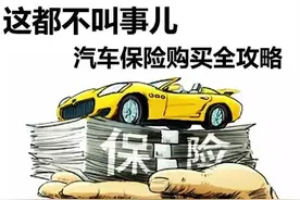 车险基础知识大全图片