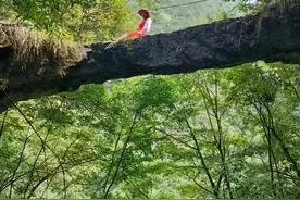 “遇仙桥”旅行记图片