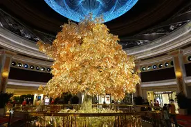 澳门最著名的酒店表演，耗资超过2亿元，免费对游客开放图片