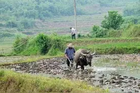 老一代农民生活的心酸与苦累，又有多少人能体会得到？图片
