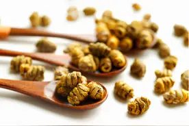中华仙草，紫楹仙姝：铁皮石斛图片