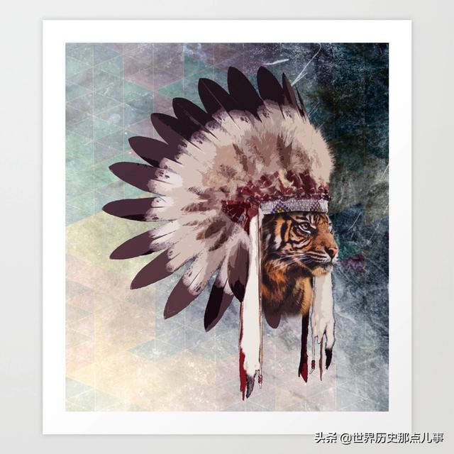 华丽的羽冠，勇士的王冠：一顶印第安人帽子背后的荣耀与尊严