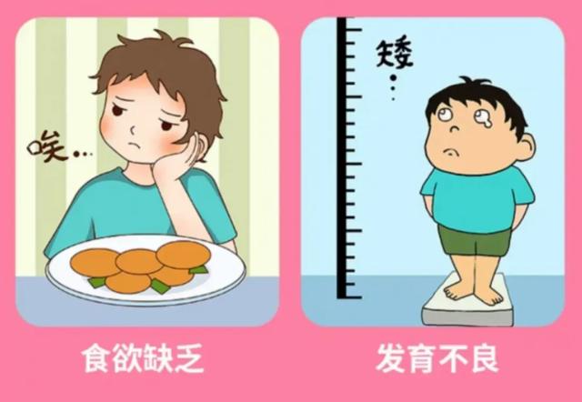 人体最重要的必需氨基酸-赖氨酸