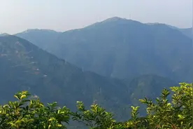 夜读 | 新兴风车山露营记图片