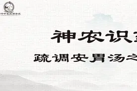 《神农识药》疏调安胃汤之白蔻仁图片