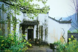 木秀于林，风必摧之，行高于人，众人必非之图片