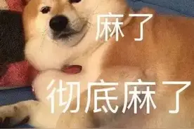 【喜欢的表情包】图片