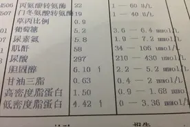体检发现低密度胆固醇偏高，饮食上要注意什么呢？听听专家怎么说图片