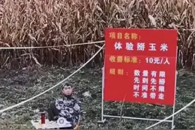 大叔在动物园与老虎对峙，网友：你以为你是武松吗哈哈哈图片