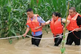 湖北建始 挖掘机洪水中救人，玉米地里拉起“生命之绳”图片