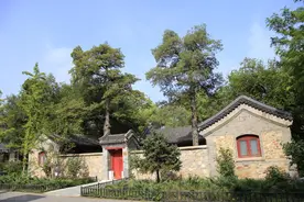 院子里为什么不能种大树？7个原因，看看你知道几个图片