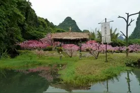 探访浙江“最危险的村庄”，百年历史布局巧妙，外人进去很难出来图片