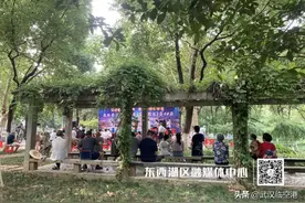 这素质，赞！图片