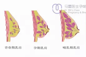不想让乳房变成大小胸、布袋奶？你要把握这几点图片