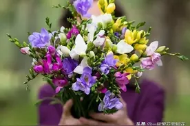 秋天买什么花？这20种花建议选几个，好看又好养，秋天买没错图片