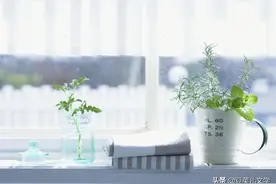 一个人的明净世界图片