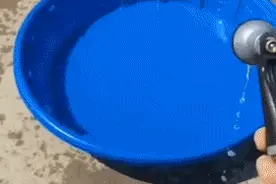 傻狗的快乐，你不懂图片