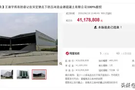 直击安徽法院“6·18网络司法拍卖节”合肥一住宅引发220次出价图片