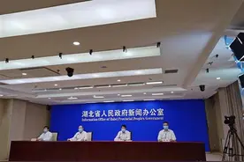 湖北：土地出让金等可延期至疫情结束后3个月内缴纳图片