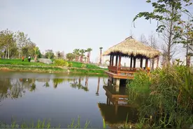 深入分析什么是“挤韵”，写诗时需要避免“挤韵”吗？图片