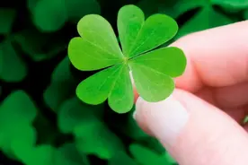 男人年过三十还是单身，其实是有原因的图片