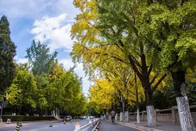 清华大学的校园里为什么会有一座清朝皇家园林？图片