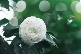 四月，你好图片