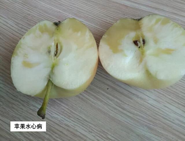 植物必需元素之骨骼元素