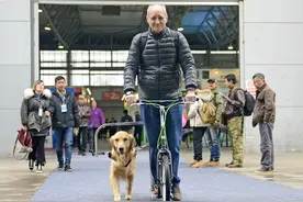 第一次来中国的外国人，他们会对中国的什么大吃一惊？图片