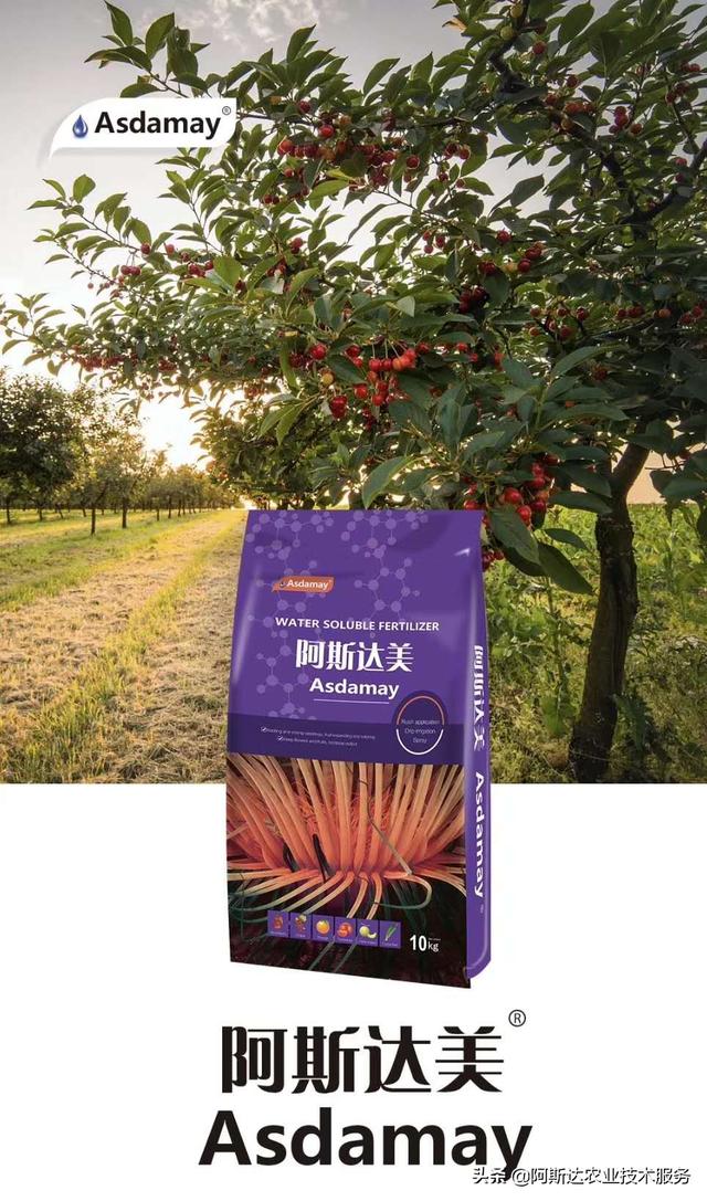 妯辨鐢ㄨ厫妞嶉吀姘存憾鑲ヤ娇鐢ㄦ柟娉曪紝甯歌闂鍙婅В绛斿姙娉? onerror=