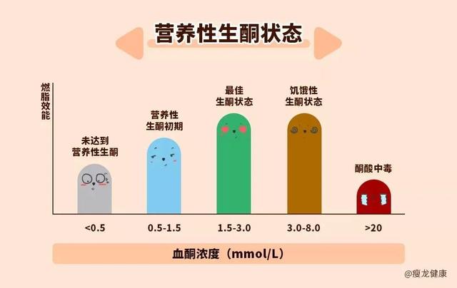 什么是酮体？我一直生酮，为什么酮体越来越低了？