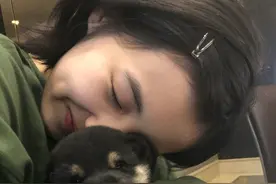 张子枫妹妹长大了，将宠物抱在怀中十分治愈图片