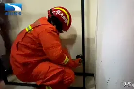 暖心！喵星人被困建筑夹层 消防员破墙营救图片