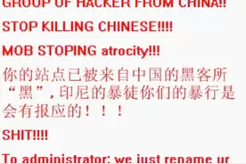 那年中美黑客大战，8万中国大军出击，国旗直插白宫……图片