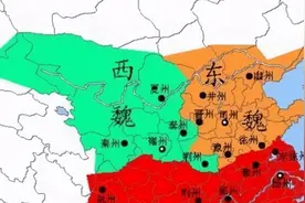 网络历史圈的名梗之一“陛下何故谋反”究竟是怎么来的？图片