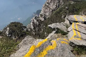 四月的庐山行，戴着口罩看春光图片