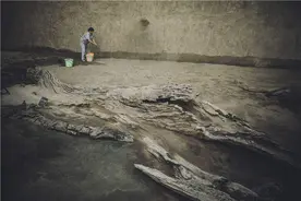 金沙遗址：继起的新中心图片