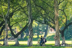 2021年独立学院转设名单汇总：16所转公办，38所转民办图片