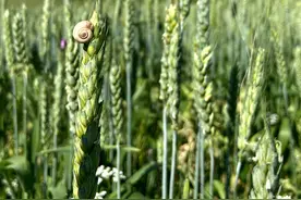 429 快乐8 283期分析图片