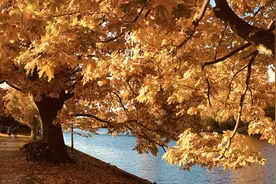 越看重自己的人，越容易被人看轻图片