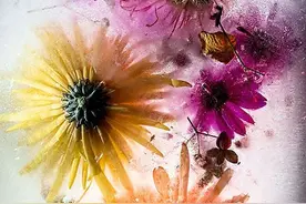 令人叹为观止的冰块摄影，拍摄起来其实很简单，在家里就能实现图片