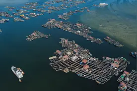 海南的“海上吉普赛”，如此壮观的疍家鱼排2年后将不复存在图片
