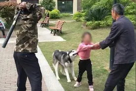 哈士奇咬住女孩不松口被物业人员持棍打死 狗主人仍未找到视频封面